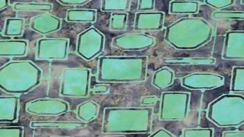 Batik Fabric | In A Teal Print | Christina's Fabrics - Christina's Fabrics - Online Superstore. Shop now