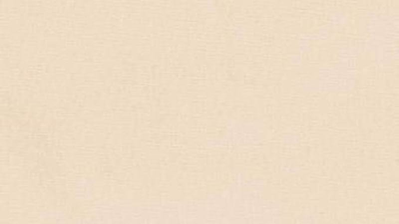 Cotton Fabric |Sand Beige | Christina's Fabrics (1 left) - Christina's Fabrics - Online Superstore. Shop now
