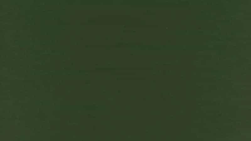 Flannel Fabric In A Solid Hunter Green - Christina's Fabrics - Christina's Fabrics Online Superstore. Shop now