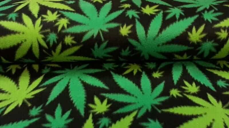 Polar Fleece Fabric In Black And Green Print - Christina's Fabrics Online Superstore. Shop now