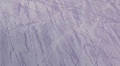 Cotton Fabric In Lilac Color - Christina's Fabrics Online Superstore.  Shop now 