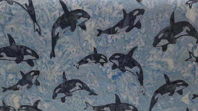 Batik Fabric In Blue Orcas Print - Christina's Fabrics - Online Superstore.  Shop now 