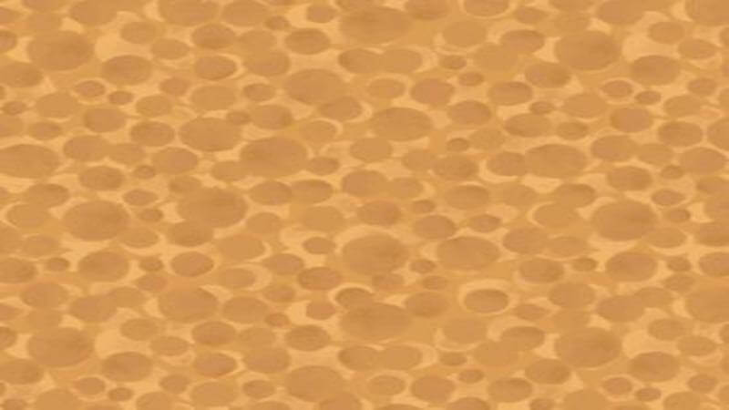 Cotton Fabric Blender In A Lion Gold Color - Christina's Fabrics - Online Superstore.  Shop now 