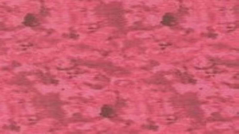 Cotton Fabric In Pink Azalea - Christina's Fabrics - Christina's Fabrics - Online Superstore.  Shop now 