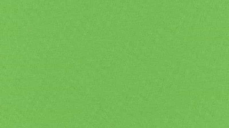 Combed Cotton Knit Fabric - Lime Green - 60" - $6.75 - Christina's Fabrics Online Superstore.  Shop now 