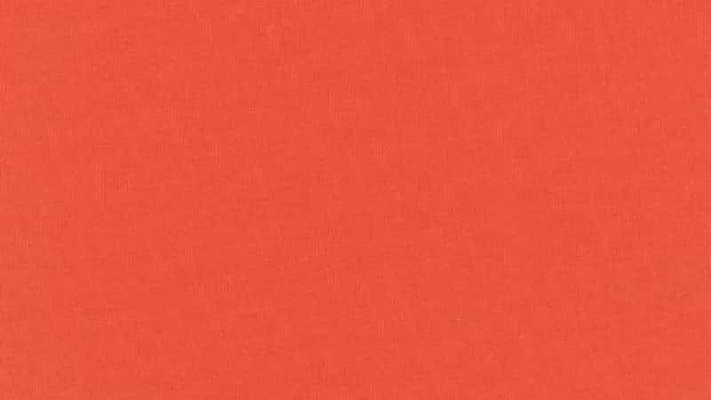 Combed Cotton Knit Fabric In Orange - 60" - $6.75 - Christina's Fabrics Online Superstore.  Shop now 